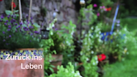 Zurück ins Leben